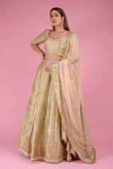 Banarasi Lehenge Set4466 video